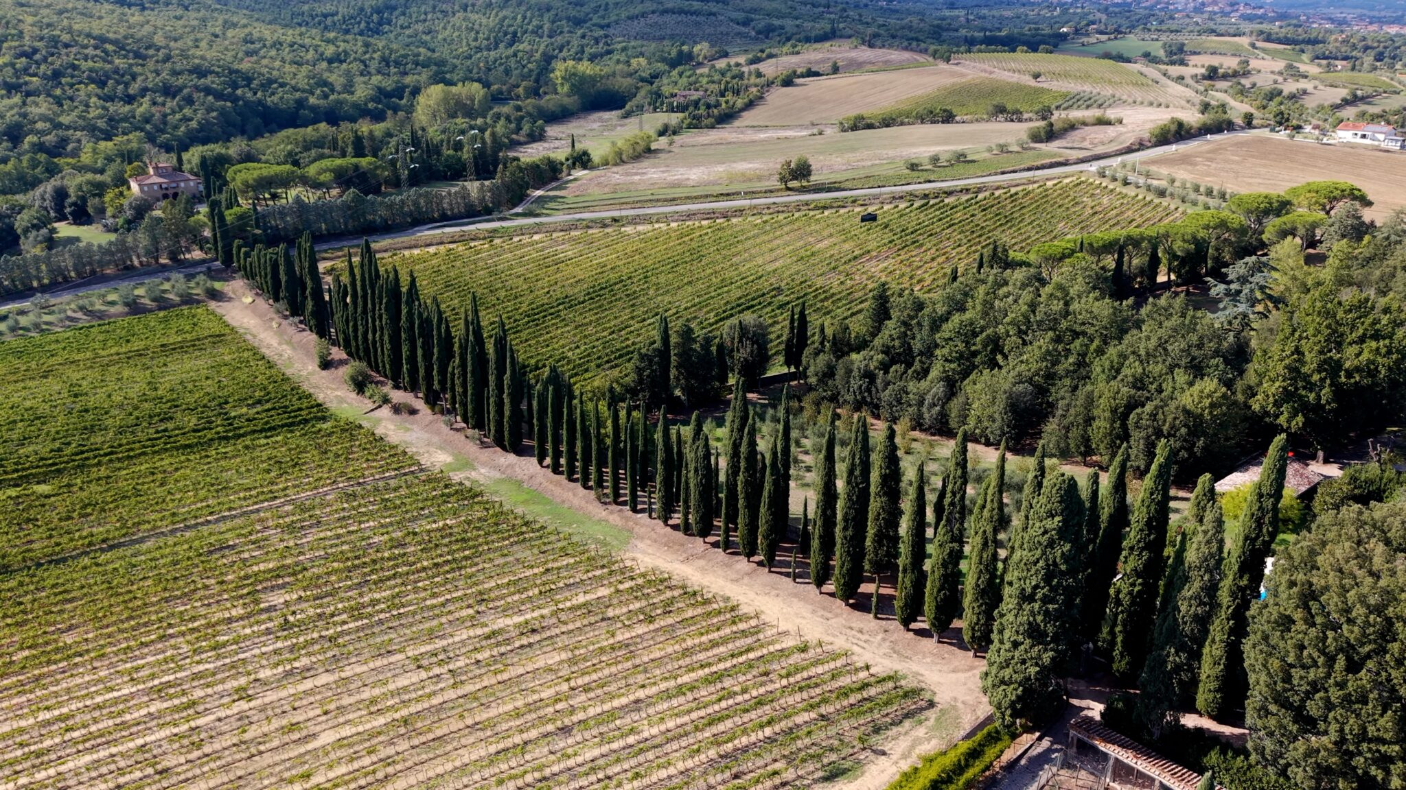 Aerial view of vineyards and cypress trees surrounding Villa Fabbriche Palma in Lucignano.
