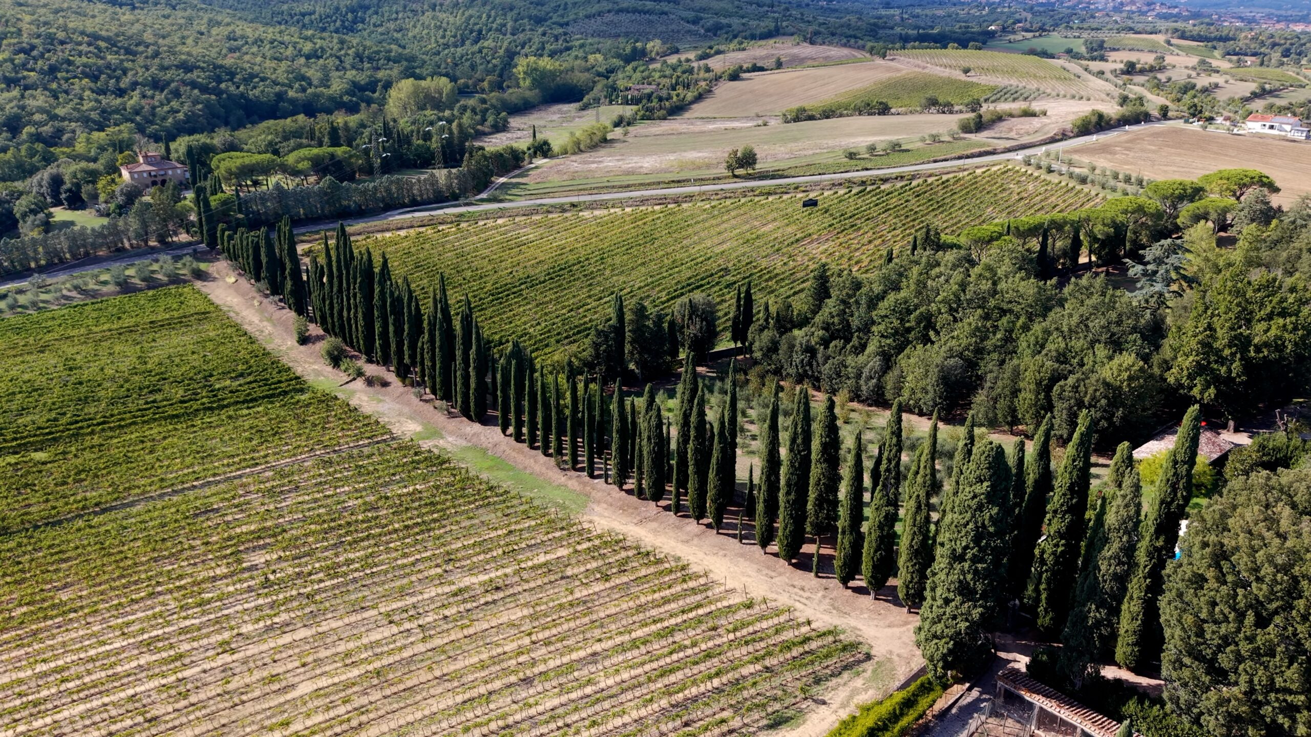 Aerial view of vineyards and cypress trees surrounding Villa Fabbriche Palma in Lucignano.